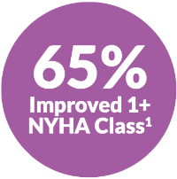 65% Improved 1+ NYHA Class
